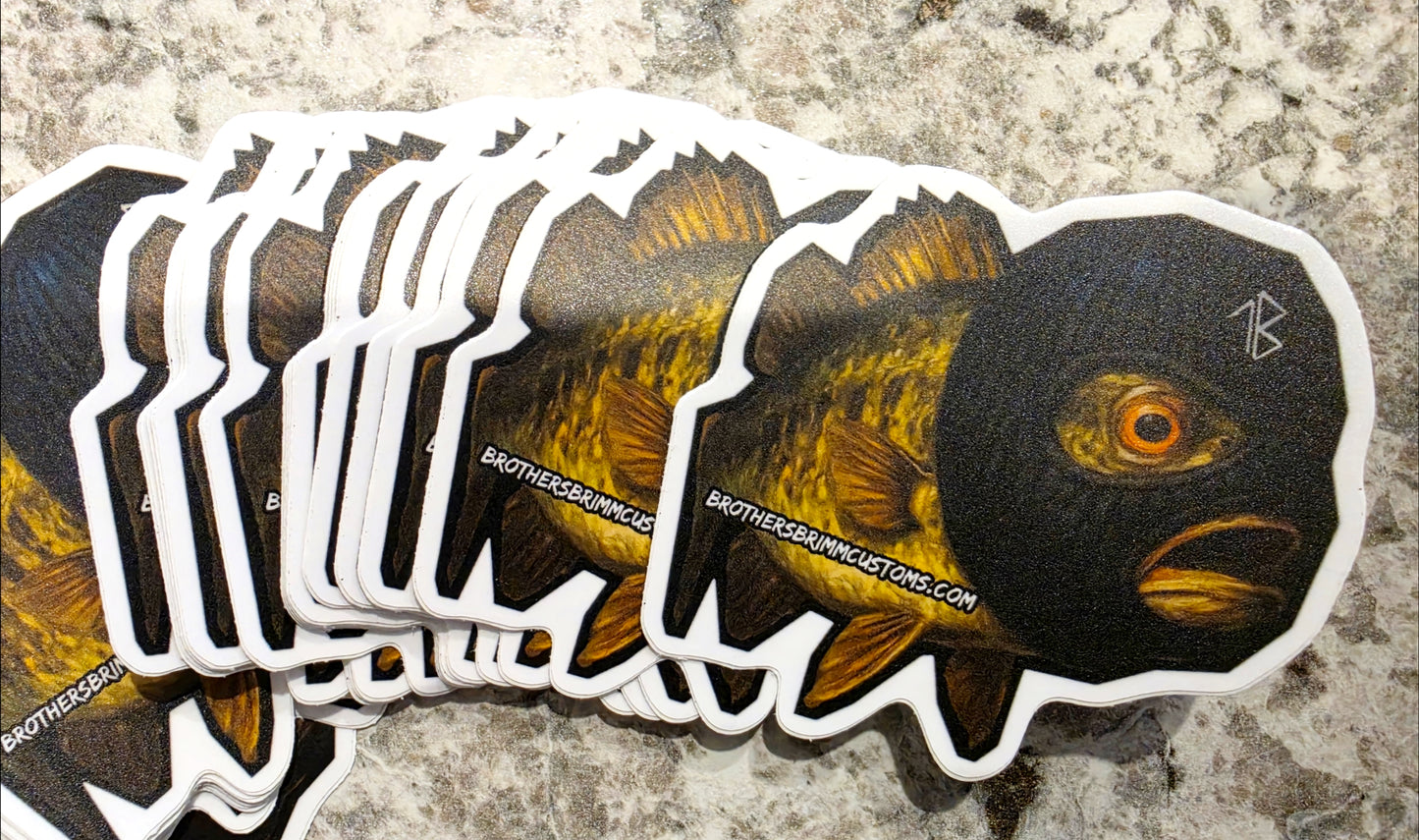 Crash Out BASS