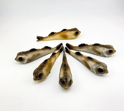 "GOOBER" SNACK PACK- (Golby/sculpin hybrid swimbait)