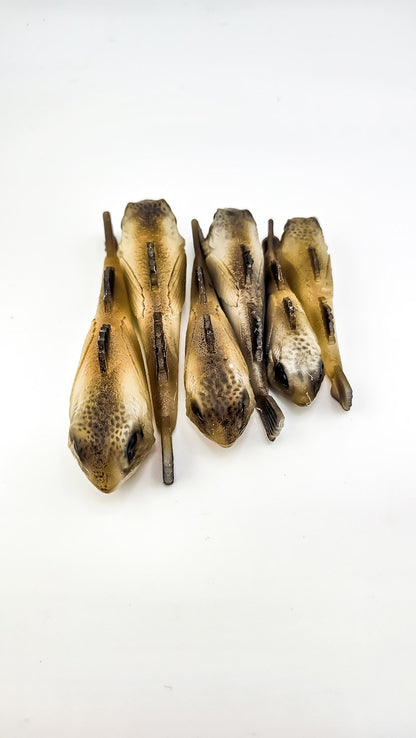 "GOOBER" SNACK PACK- (Golby/sculpin hybrid swimbait)