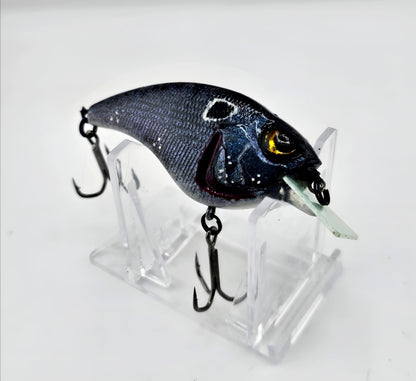 MB SONIC SIDE CLONE- "BRUSIER SHAD"