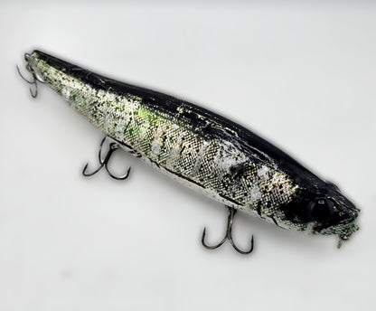 Megadog -" Da SMELT"