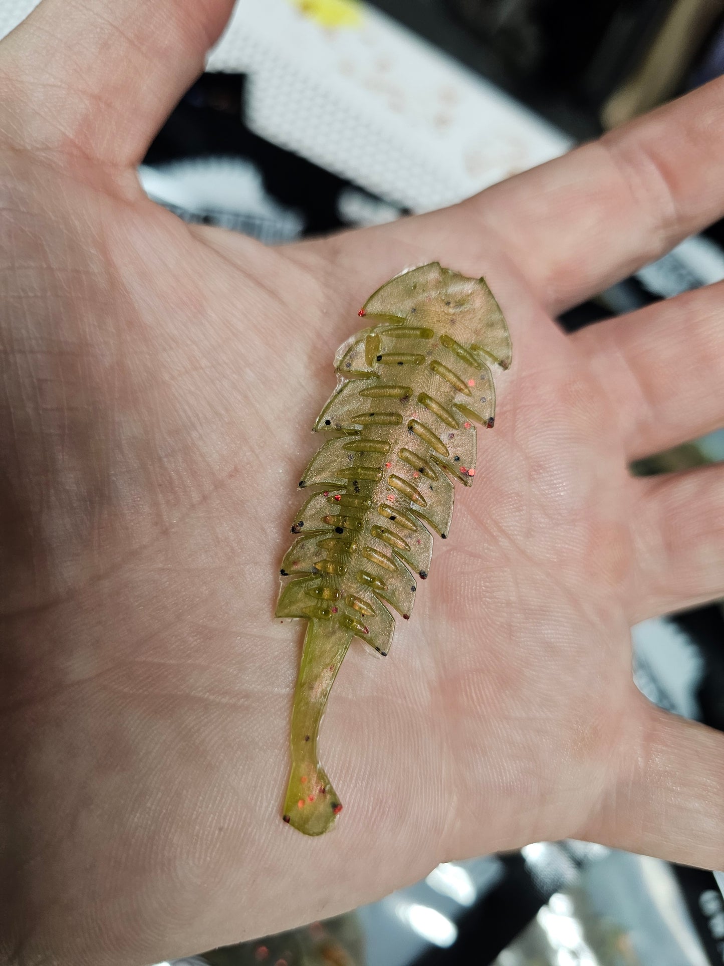 TRILOBITE "MELON FLASH" 3.8