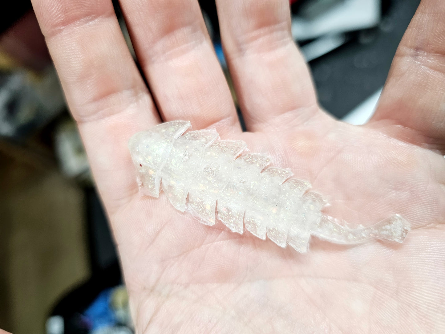 TRILOBITE "PEARL JAM" 2.8 IN