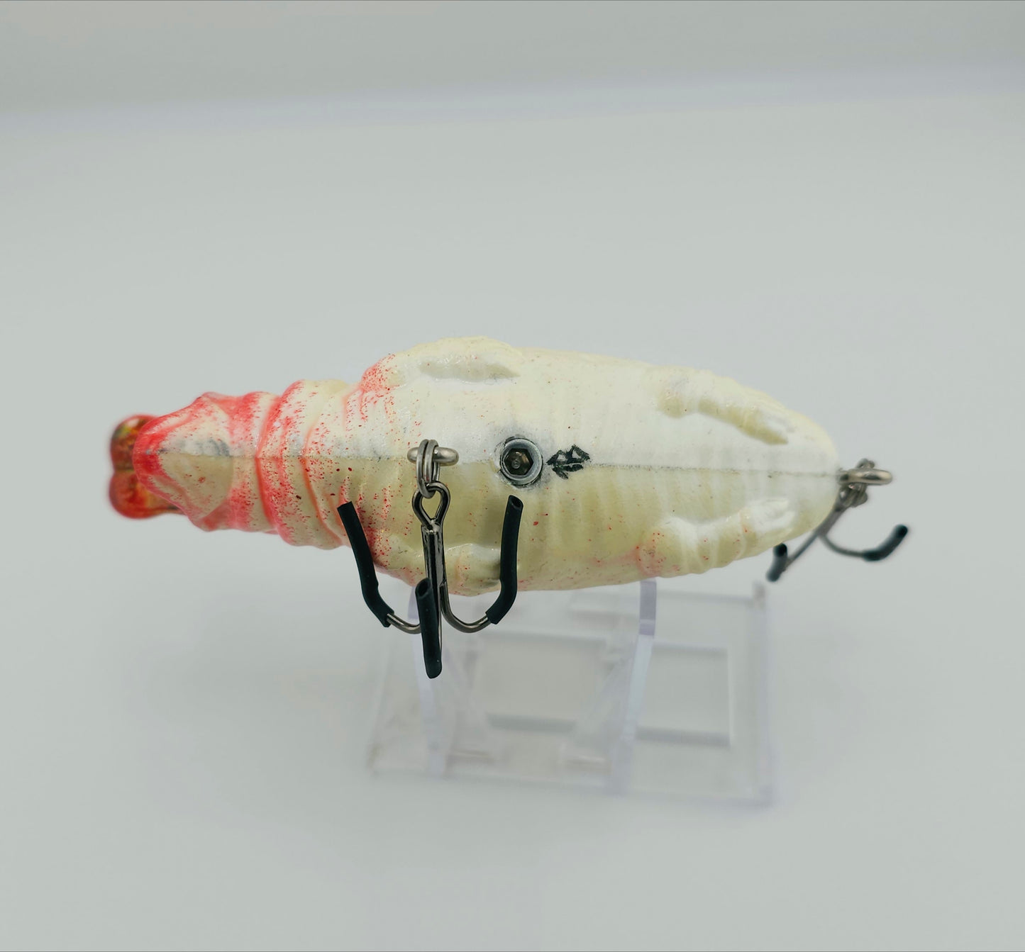 Popapotomus_ blood bone