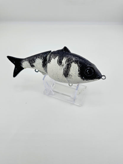 5in SJ SB - NICKATEENA ORCA
