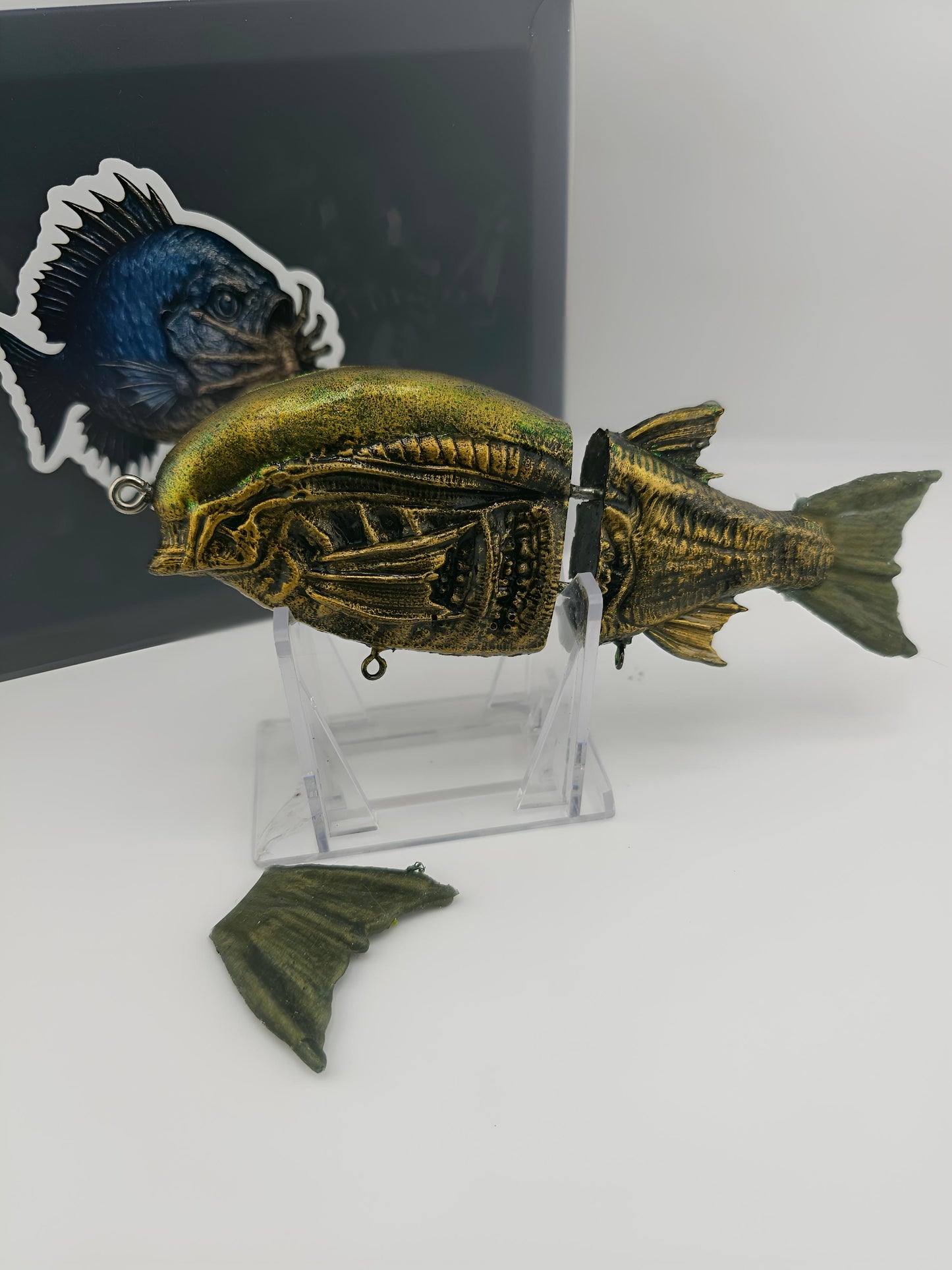 N.A.B. ~ “GLDn SHOWER”