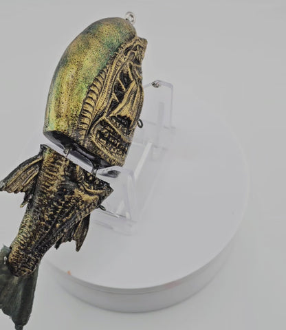 N.A.B. ~ “GLDn SHOWER”