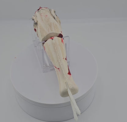 TRUCK STOP SUSHI H.S.B.- WOUNDED GHOST