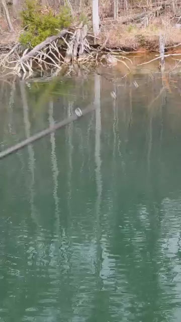 N.A.B.~’’recon gill”