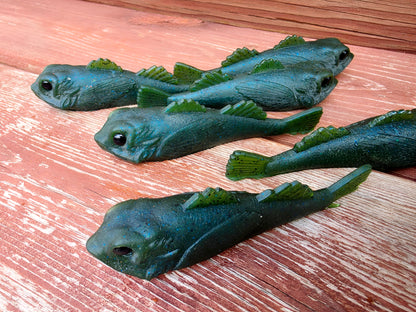 MIDNIGHT GOBY — Golby