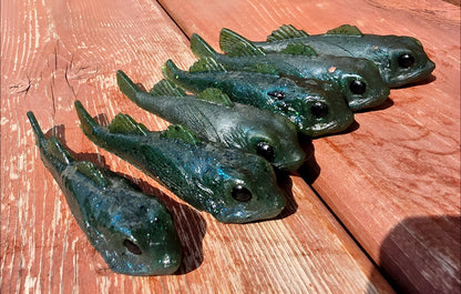 MIDNIGHT GOBY — Golby 3.8 in