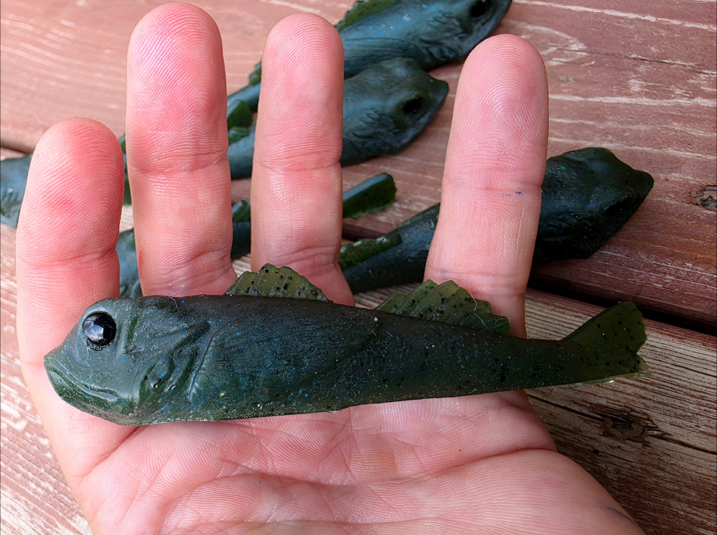 MIDNIGHT GOBY — Golby
